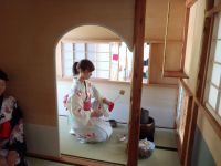 日本古来の茶室でお茶を味わおう!木組み体験コーナーもあるよ!