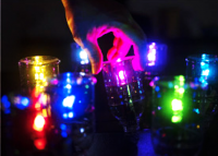 LEDを使った「ペットボタル®」を光らせてみよう