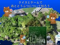 もりのクマさん?