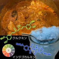 身近な色素を使ってくすりの研究を学ぼう