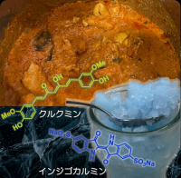 身近な色素を使ってくすりの研究を学ぼう