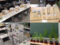出張薬用植物園　見て!触れて!教室が植物園に大変身