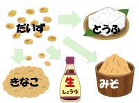 食べ物って何からできてるの?カルタを使って“食べ物の素”を学ぼう