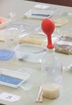 微生物の力を見てみよう!(同ブース内で宮城県産業技術総合センターの紹介もあります!)