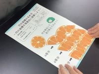 算数&理科好きな子この指とまれ!勉強嫌いな子この指とーまれ!