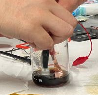 ジュースで「電池」を作ろう!