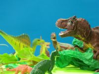 身近な疑問がいーっぱい!本校科学部と実演を交えて疑問を解き明かそう!