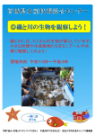 磯と川の生物を観察しよう!