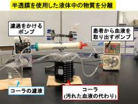 「けつえきクリーニング大作戦!」～オシッコのひみつ～