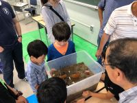 地震について、ちょっとだけ知っておく