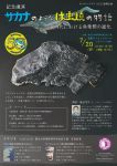 講演会「サカナのような は虫類の物語 ― 恐竜時代における魚竜類の進化」&イベント・ワークショップ