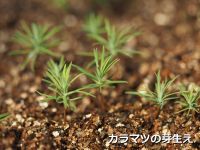 森の研究室をのぞいてみよう!