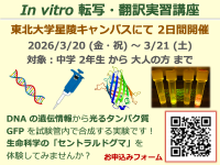 第21回 トランスグレード実習講座「In vitro 転写・翻訳実習」