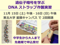 遺伝暗号を学ぶ DNA ストラップ作製実習