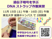 遺伝暗号を学ぶ DNA ストラップ作製実習