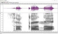 声から見ることばの科学　耳と目で確かめてみよう