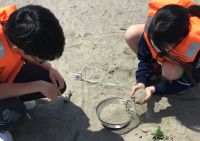 砂浜のマイクロプラスチックをさがしてみよう!