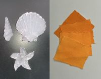 見てみよう!触ってみよう!作ってみよう!楽しく学ぶ化石の世界と化学の世界