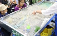 川の流れを見てみよう