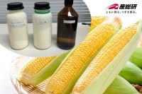 博士とトウモロコシ由来のバイオマスプラスチック作りをしよう!