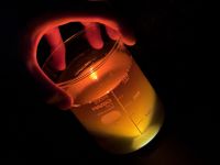 百華繚乱　科学の五重奏