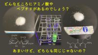 生活の中のアミノ酸・ペプチドを見つけてみよう!