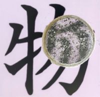 光の世界へようこそ  自分で光が操れちゃう!不思議な光の世界を楽しもう!