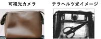 仙台から世界へ!未来を変える「見えない光」 ― ふしぎな光が教えてくれるセキュリティから宇宙まで―