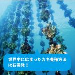 海につくる ～カキの赤ちゃんやノリのタネはどうやって育てる?～