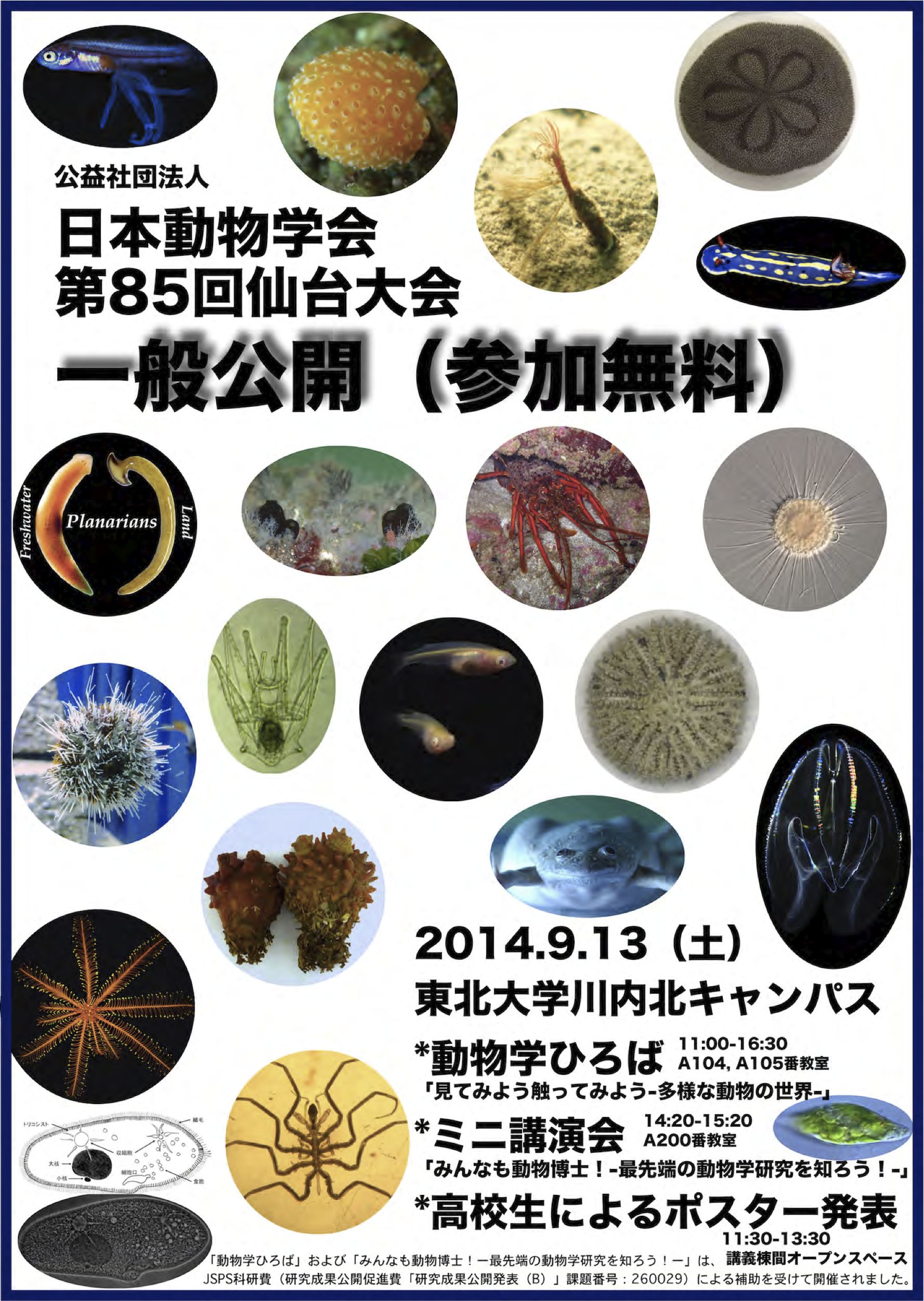 日本動物学会 一般公開｜学都「仙台・宮城」サイエンスコミュニティ