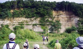 火山テーマに仙台の大地の歴史巡る／地質学会、初のアウトリーチ巡検